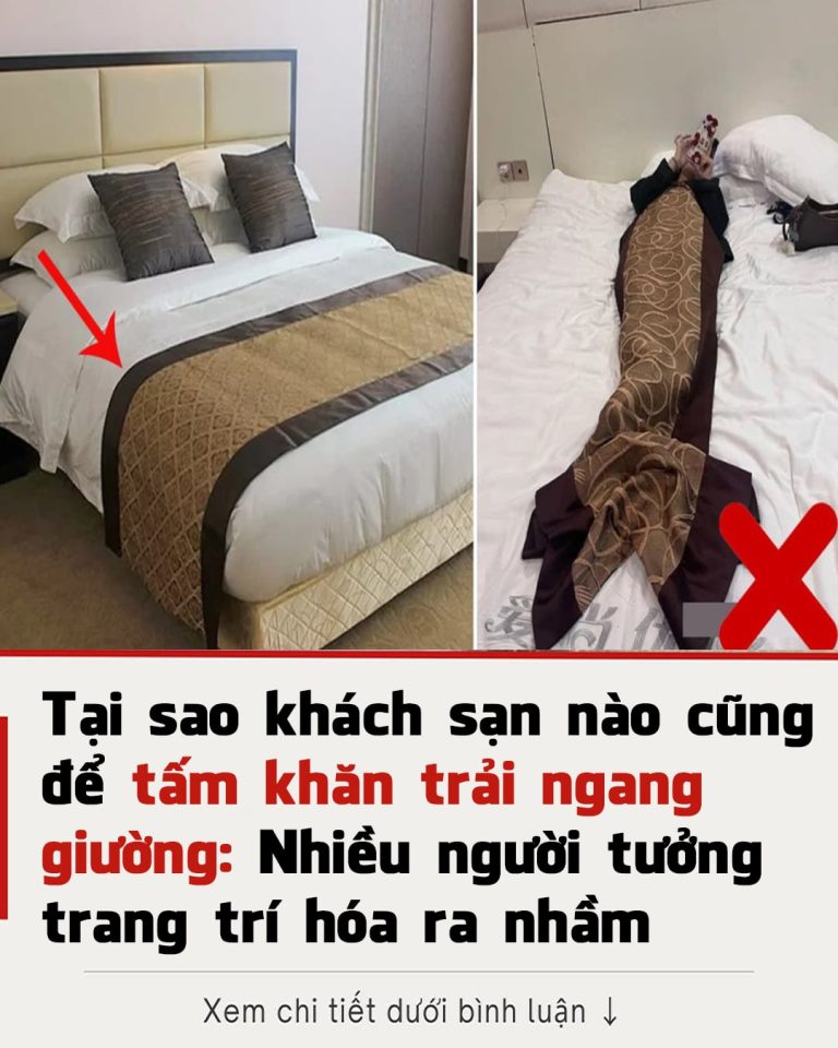 Miếng vải trải ngang giường khách sạn có công dụng gì?