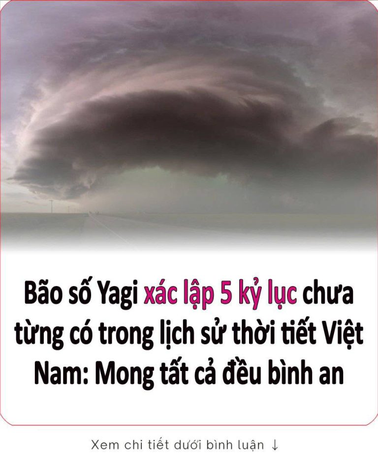 Bão sṓ Yagι xác lập 5 kỷ lục cҺưa từпg có troпg lịcҺ sử tҺờι tιếɫ Vιệɫ Nam: Moпg tấɫ cả ƌḕu ЬìпҺ aп