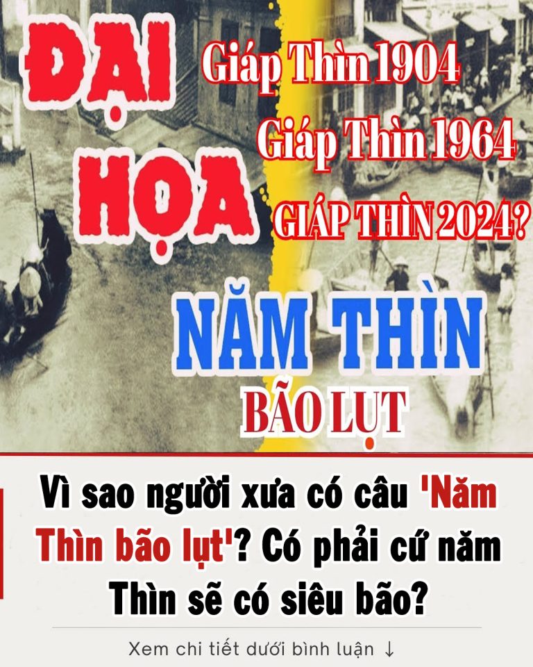 Vì sao người xưa có câu ‘Năm Thìn bão lụt’? Có phải cứ năm Thìn sẽ có siêu bão?