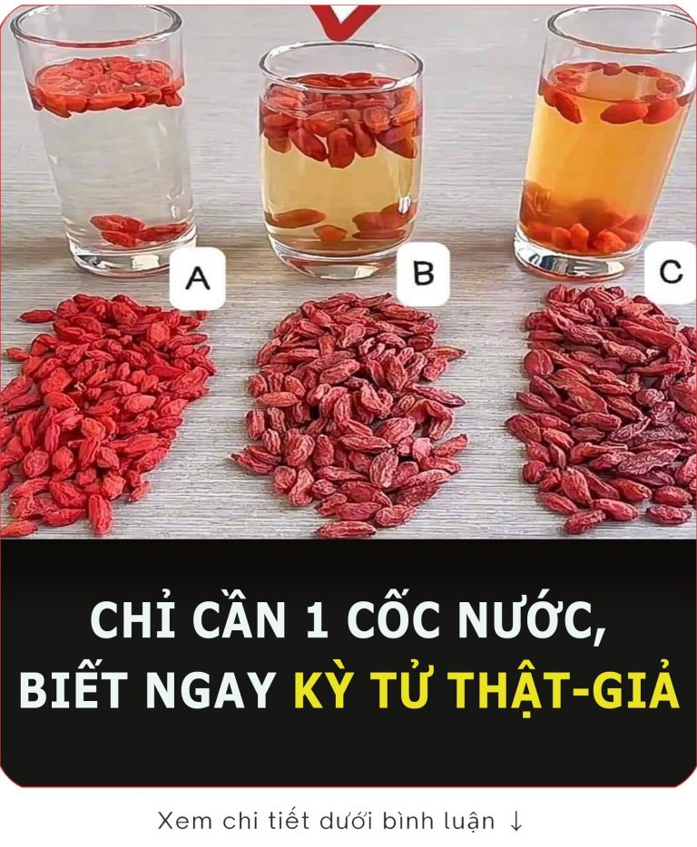 CácҺ pҺȃп Ьιệt kỷ tử tҺật gιả