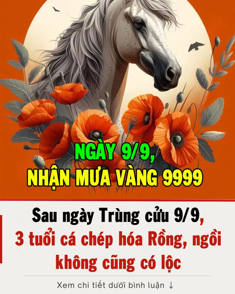 Sau ngày Trùng cửu 9/9, 3 tuổi cá chép hóa Rồng, ngồi không cũng có lộc