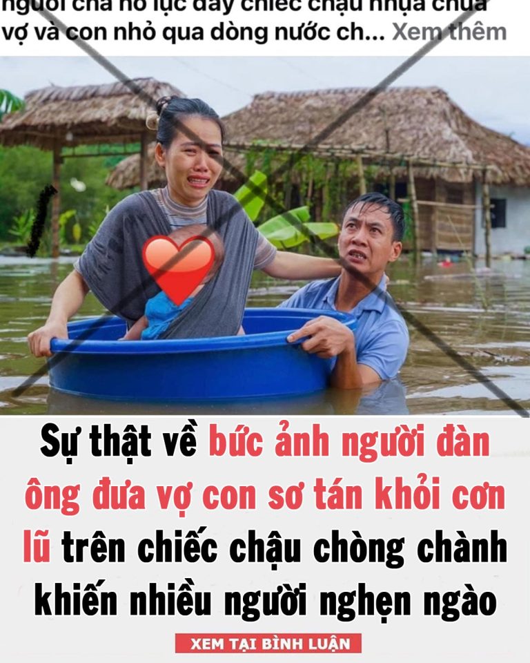 Sự thật về bức ảnh người đàn ông đưa vợ con sơ tán khỏi cơn lũ trên chiếc chậu chòng chành khiến nhiều người nghẹn ngào