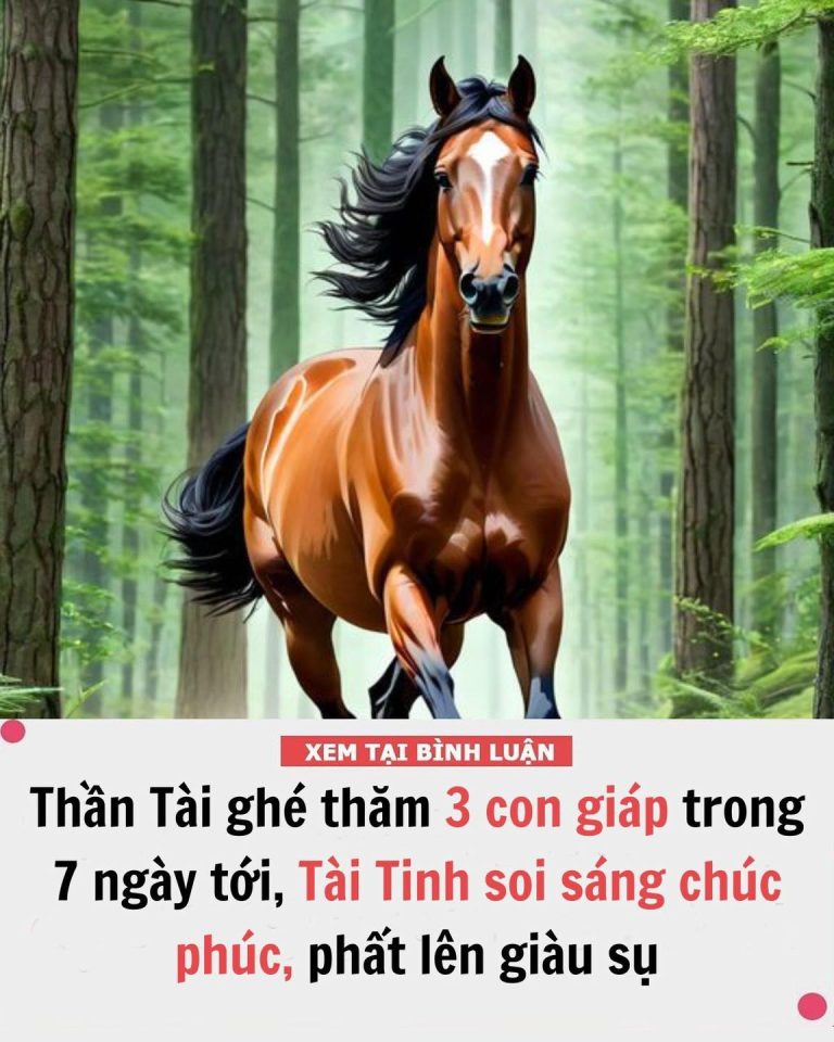 Thần Tài ghé thăm 3 con giáp trong 7 ngày tới, Tài Tinh soi sáng chúc phúc, thoát khỏi đói nghèo, phất lên giàu sụ, vạn sự hanh thông