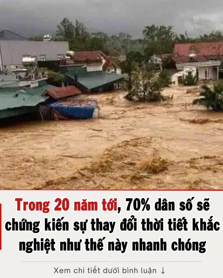 Trong 20 năm tới, 70% dân số thế giới sẽ chứng kiến sự thay đổi thời tiết khắc nghiệt nhanh chóng