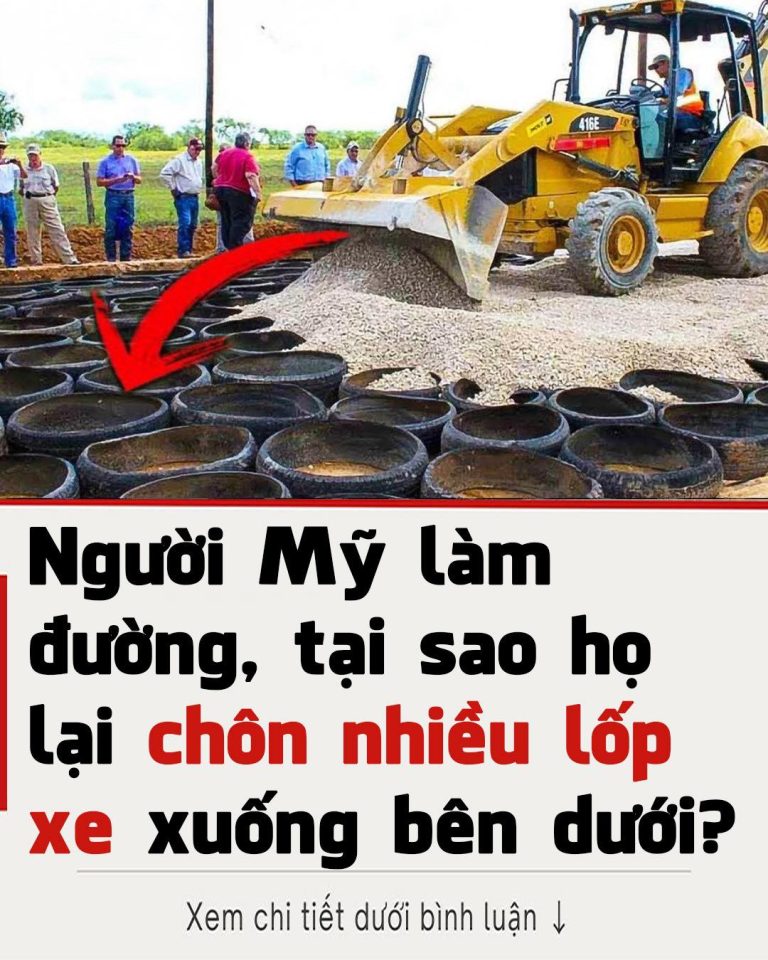 Người Mỹ làm đường, tại sao họ lại chôn nhiều lốp xe xuống bên dưới?