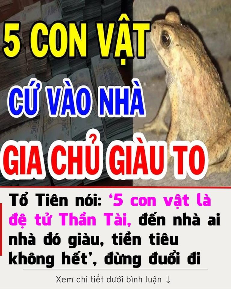 Tổ Tiên nói: ‘5 con vật là đệ tử Thần Tài, đến nhà ai nhà đó giàu, tiền tiêu không hết’, đừng đuổi đi