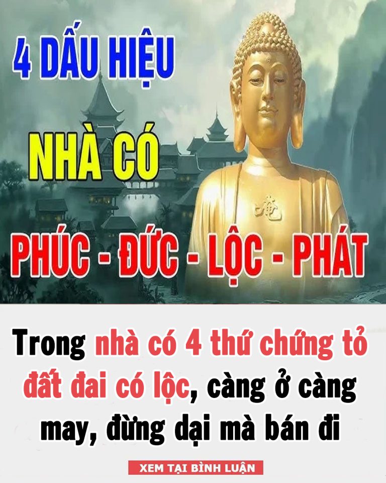 Trong nhà có 4 thứ chứng tỏ đất đai có lộc, càng ở càng may, đừng dại mà bán đi