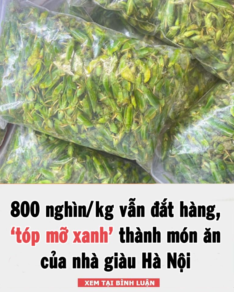 800 nghìn/kg vẫn đắt hàng, ‘tóp mỡ xanh’ thành món ăn của nhà giàu Hà Nội