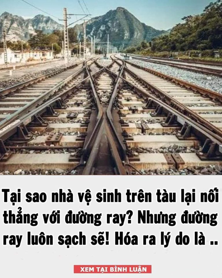 Tại sao nhà vệ sinh trên tàu lại nối thẳng với đường ray? Nhưng đường ray luôn sạch sẽ! Cư dân mạng: Thì ra là vậy