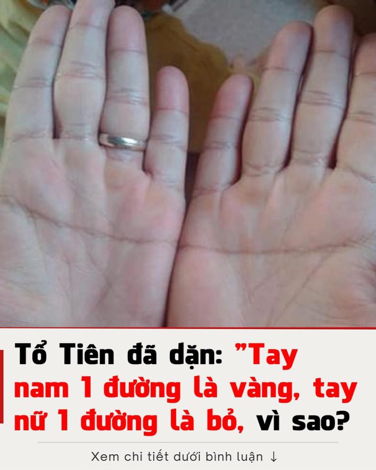 Tổ tiên có câu: ‘Tay nam 1 đường là vàng, tay nữ 1 đường là bỏ’, tại sao lại như vậy?