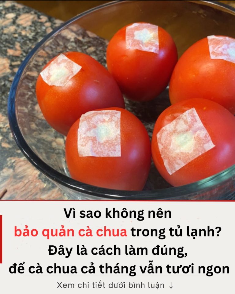 Vì sao không nên bảo quản cà chua trong tủ lạnh? Đây là cách làm đúng, để cà chua cả tháng vẫn tươi ngon