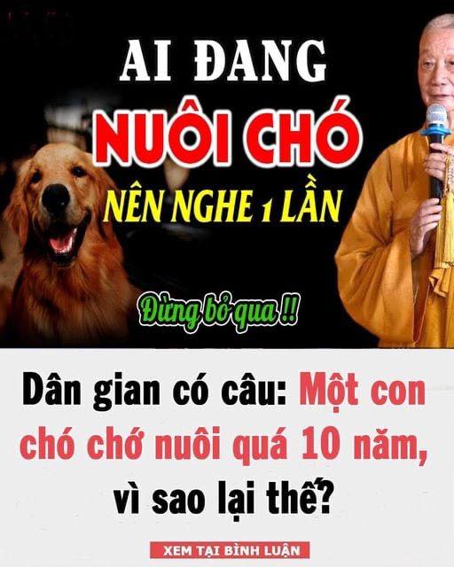 Dân gian có câu: Một con chó chớ nuôi quá 10 năm, vì sao lại thế?