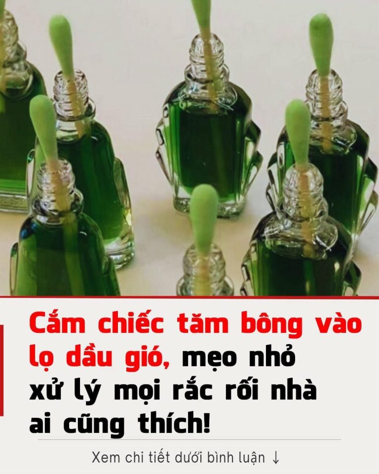 Cắm chiếc tăm bông vào lọ dầu gió, mẹo nhỏ xử lý mọi rắc rối nhà ai cũng thích