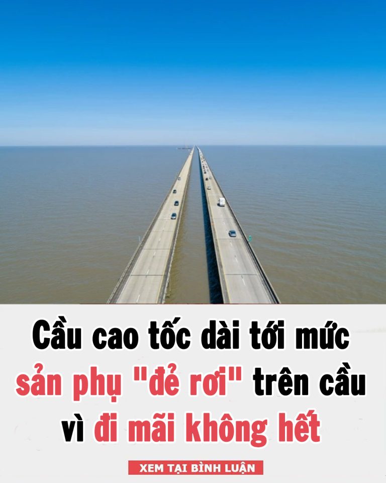 Cầu cao tốc dài tới mức sản phụ “đẻ rơi” trên cầu vì đi mãi không hết