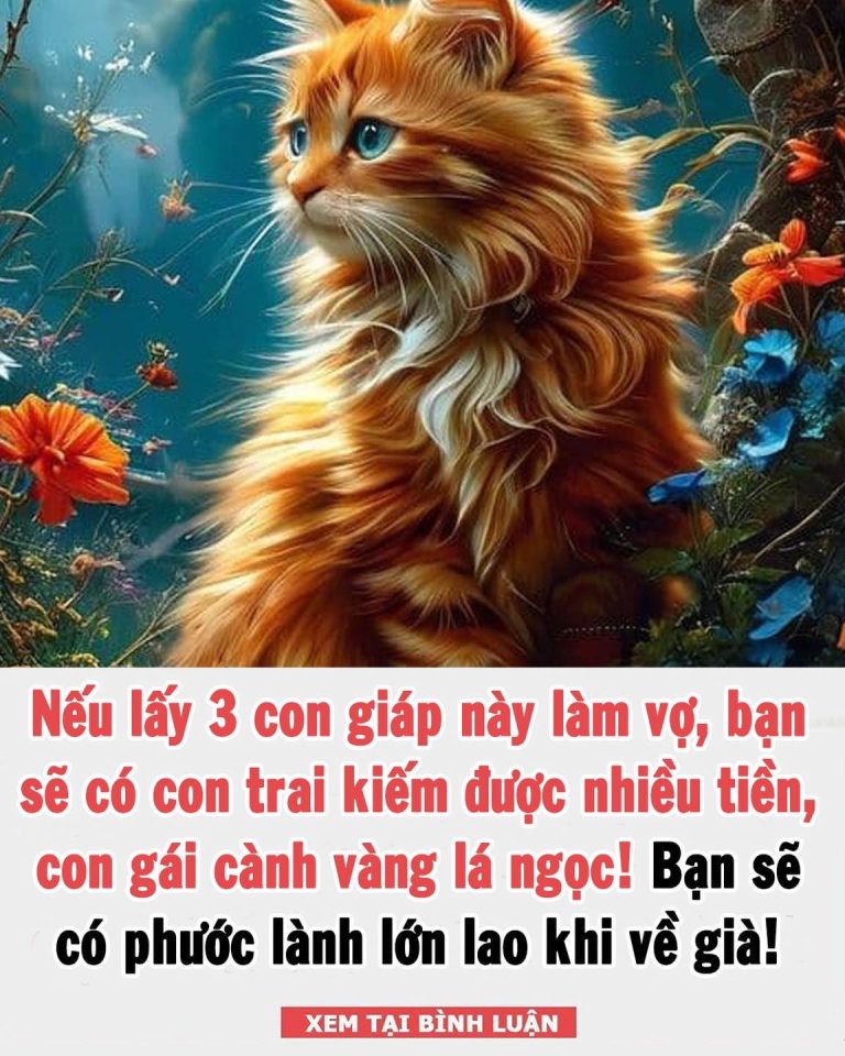 Nếu lấy 3 con giáp này làm vợ, bạn sẽ có con trai kiếm được nhiều tiền, con gái cành vàng lá ngọc! Bạn có được phước lành lớn lao khi về già!