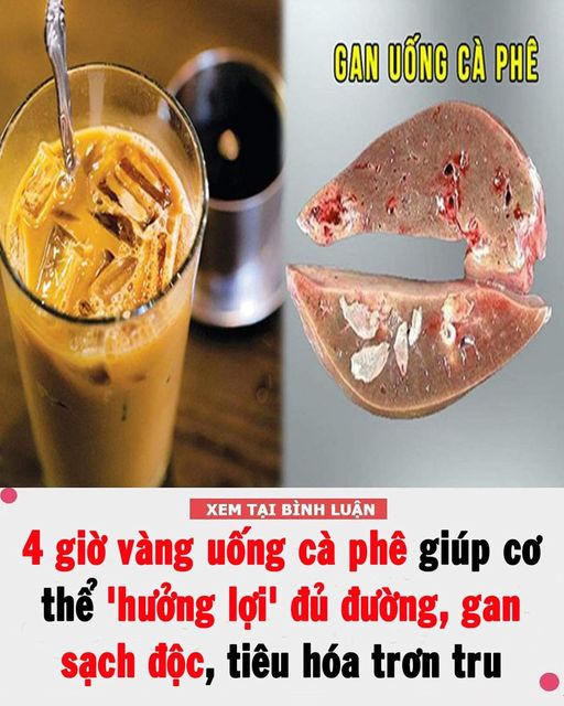 4 giờ vàng uống cà phê giúp cơ thể ‘hưởng lợi’ đủ đường, tiêu hóa tốt, gan được bảo vệ