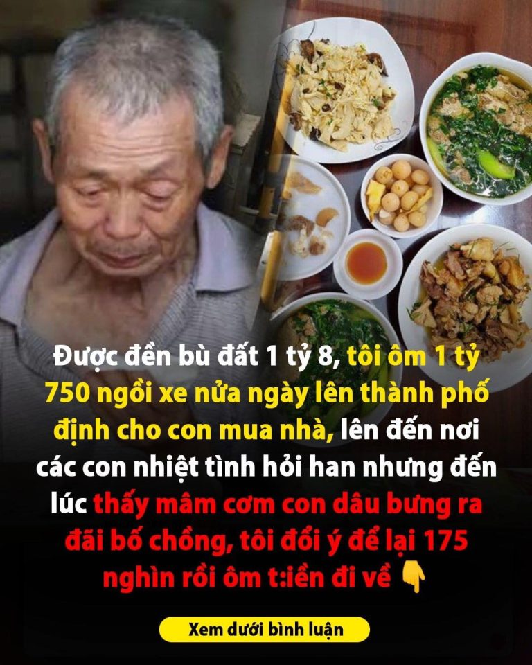 Được đền bù đất 1 tỷ 8, tôi ôm 1 tỷ 750 ngồi xe 5 tiếng lên thành phố định cho con mua nhà, lên đến nơi các con nhiệt tình hỏi han nhưng…