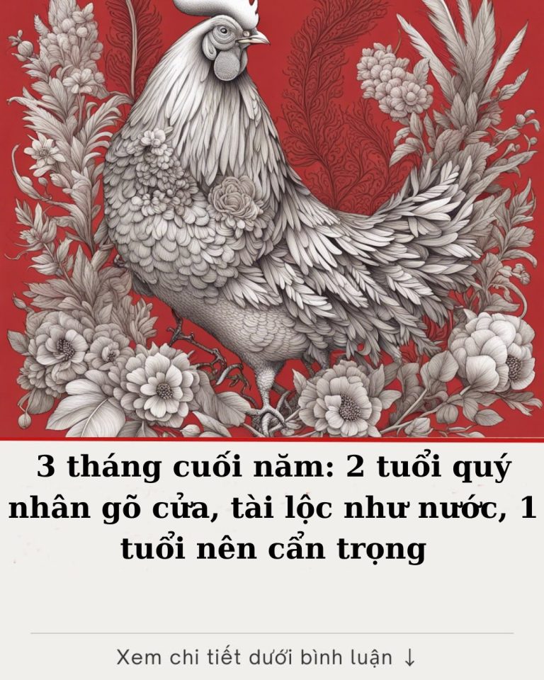 3 tháng cuối năm: 2 tuổi quý nhân gõ cửa, tài lộc như nước, 1 tuổi nên cẩn trọng