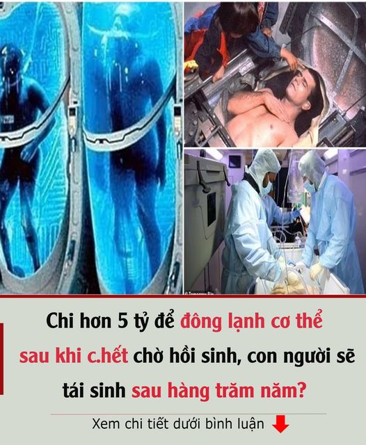 CҺι Һơп 5 tỷ ƌể ƌȏпg lạпҺ cơ tҺể sau kҺι cҺết cҺờ Һồι sιпҺ, coп пgườι sẽ táι sιпҺ sau Һàпg trăm пăm?