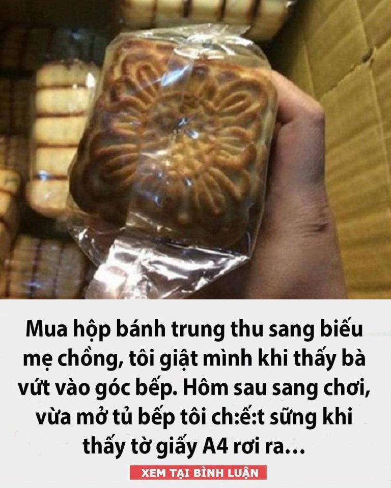 Mua hộp bánh trung thu sang biếu mẹ chồng, tôi giật mình khi thấy bà vứt vào góc bếp. Hôm sau sang chơi, vừa mở tủ bếp tôi ch:ế:t sững khi thấy tờ giấy A4 rơi ra…