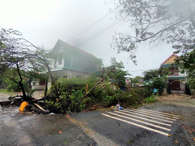 Trong cơn bão, tiếng thét chói tai của mẹ khiến tôi giật mình. Mẹ tôi đã ‘ra đi’ như thế, để lại tôi với nỗi day dứt suốt cuộc đời này