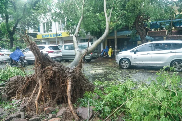 Bão số 3 làm 24 người chết và mất tích, 229 người bị thương, thiệt hại chưa đong đếm hết