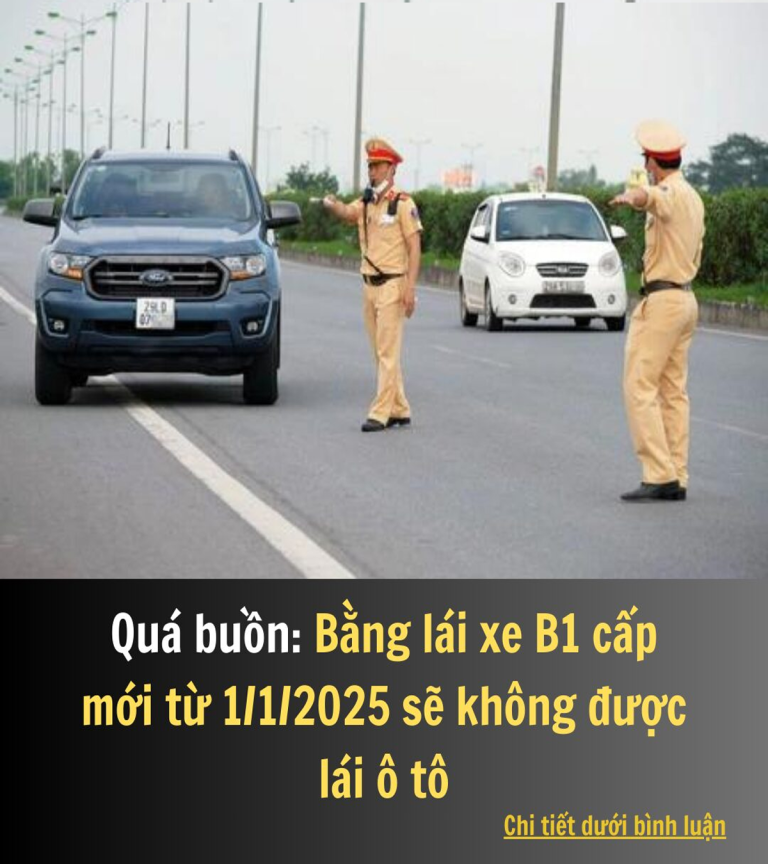 Quá buồn: Bằng lái xe B1 cấp mới từ 1/1/2025 sẽ không được lái ô tô