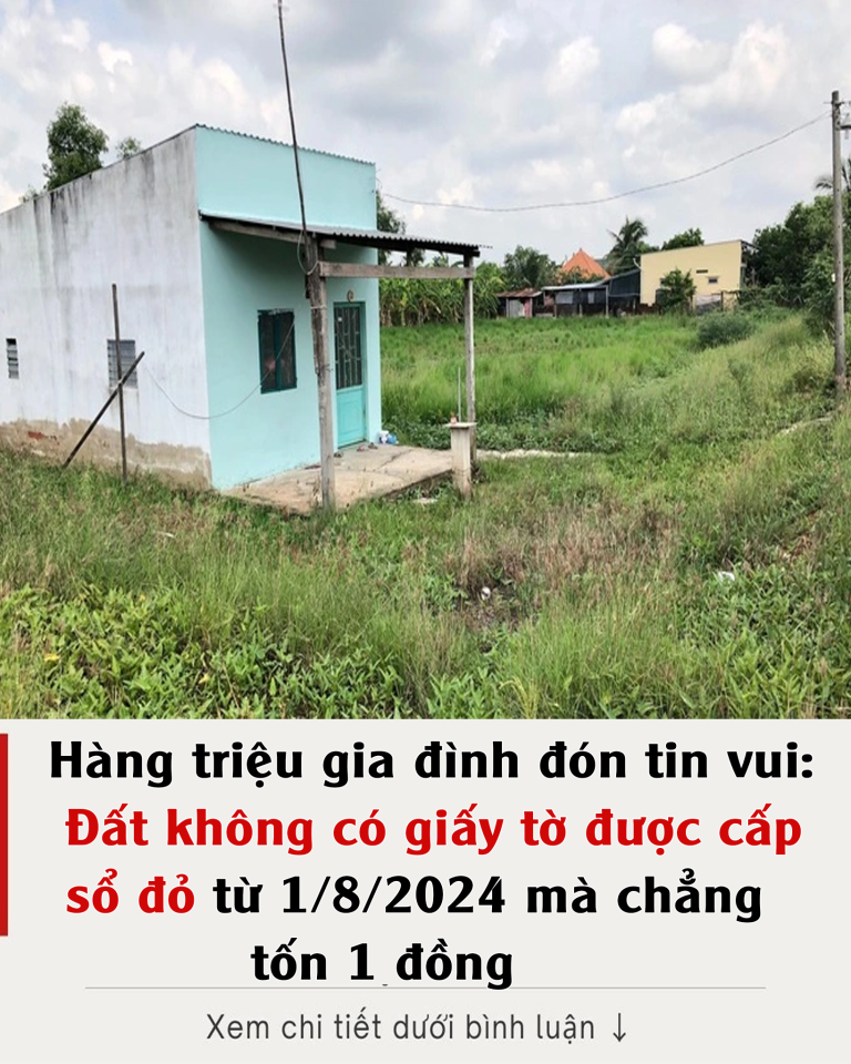 Hàng triệu gia đình đón tin vui lớn: Đất không có giấy tờ được cấp sổ đỏ từ 1/8/2024 mà chẳng tốn 1 đồng