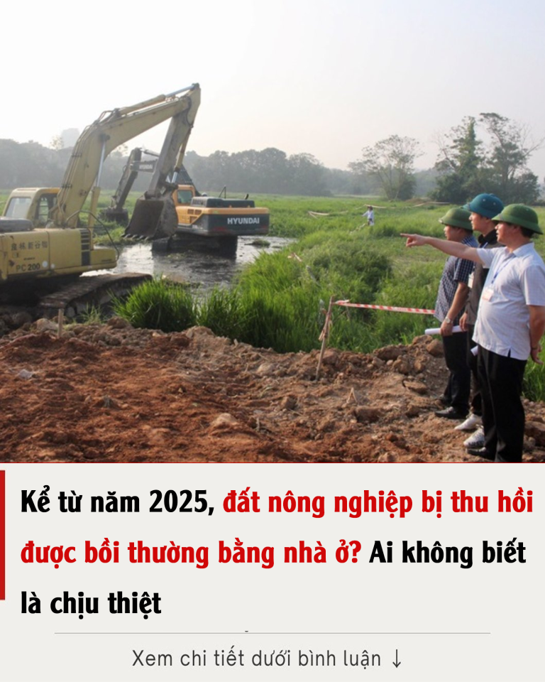 Kể từ năm 2025, đất nông nghiệp bị thu hồi được bồi thường bằng nhà ở? Người dân nên nắm rõ để được lợi nhất