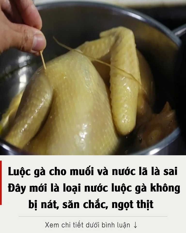 Luộc gà cho muối và nước lã là sai: Đây mới là loại nước luộc gà không bị nát, săn chắc, ngọt thịt