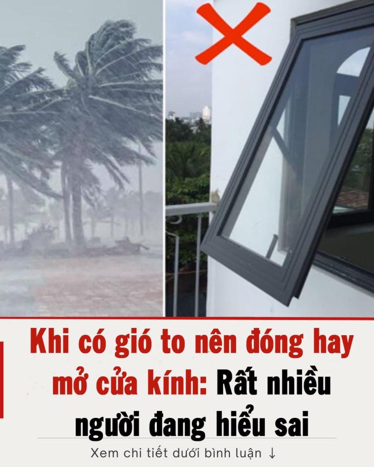 Khi có gió to nên đóng hay mở cửa kính: Rất nhiều người đang hiểu sai