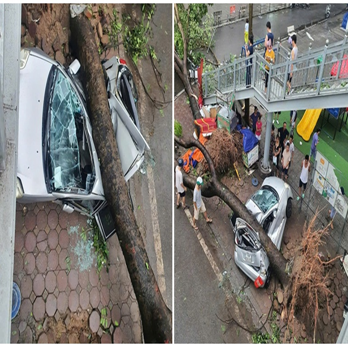 Một thanh niên 22 tuổi qua đời trong dông lốc, cảnh tượng đường phố tan hoang, ô tô bị cây đè bẹp rúm