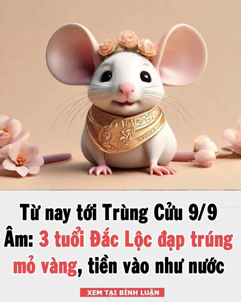 Từ nay tới Trùng Cửu 9/9 Âm: 3 tuổi Đắc Lộc đạp trúng mỏ vàng, tiền vào như nước