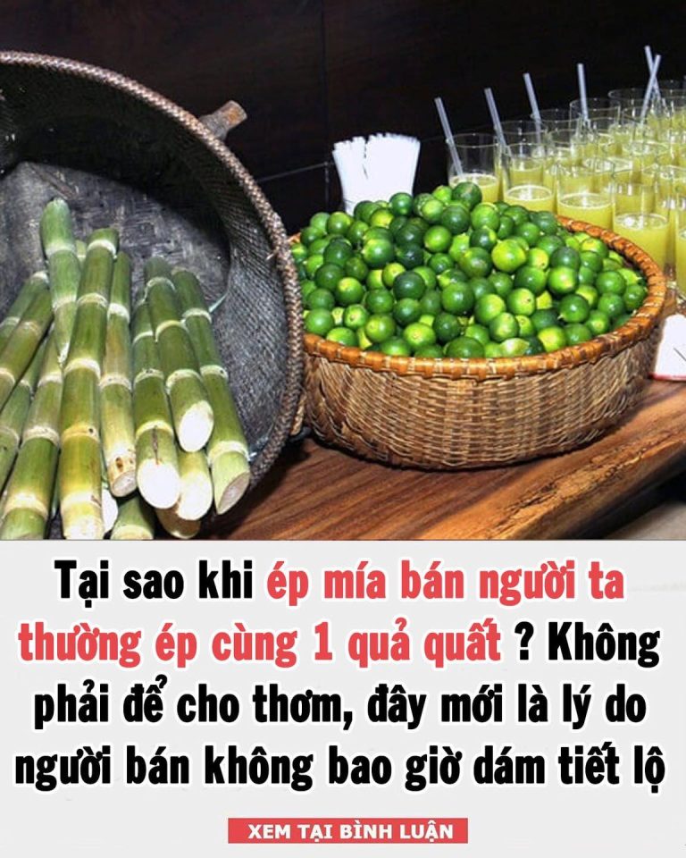 Tại sao khi ép mía bán người ta thường cho thêm 1 quả quất vào ép cùng?