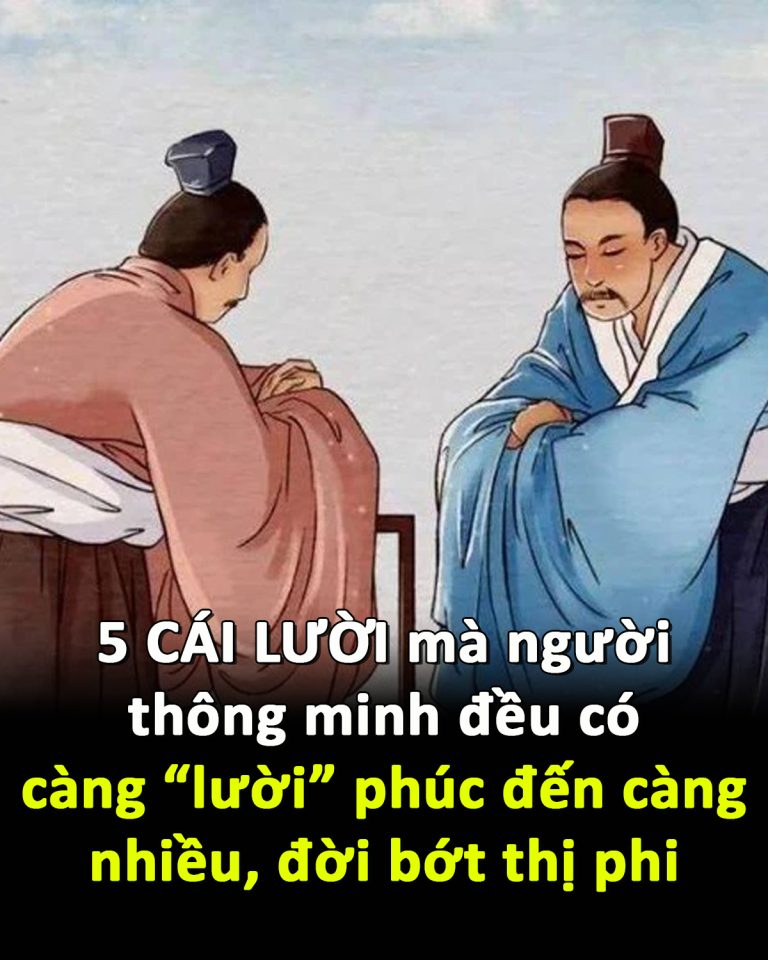 5 CÁI LƯỜI mà người thông minh đều có, càng “lười” phúc đến càng nhiều, đời bớt thị phi