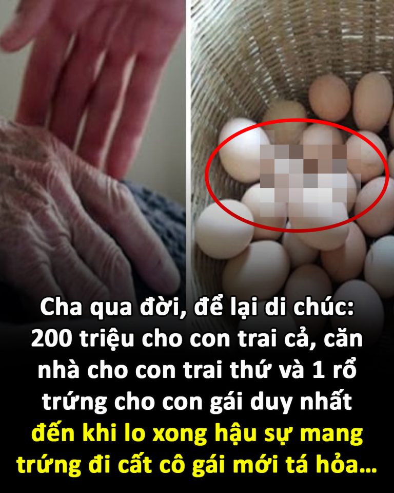 Cha qua đời, để lại di chúc: 200 triệu cho con trai cả, căn nhà cho con trai thứ và 1 rổ trứng cho con gái duy nhất, đến khi lo xong hậu sự mang trứng đi cất cô gái mới tá hỏa…