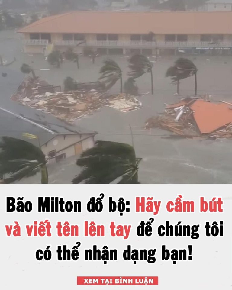 Bão Milton đổ bộ: Hãy cầm bút và viết tên lên tay để chúng tôi có thể nhận dạng bạn!