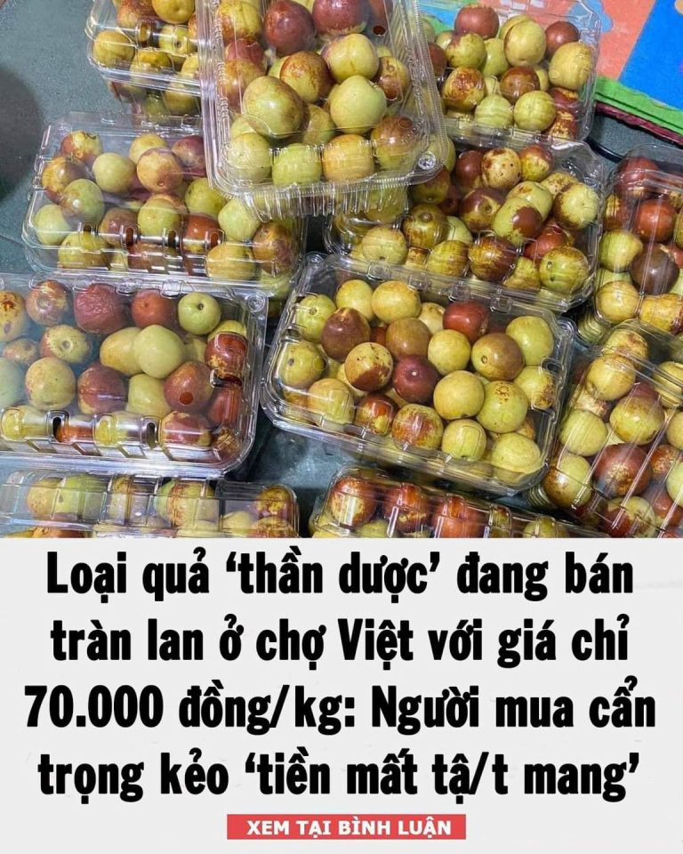 Loại quả ‘thần dược’ đang bán tràn lan ở chợ Việt với giá chỉ 70.000 đồng/kg: Người mua cẩn trọng kẻo ‘tiền mất t/ậ/t mang’