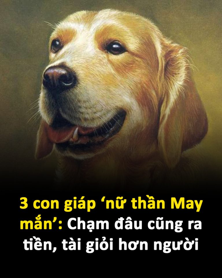 3 con giáp ‘nữ thần May mắn’: Chạm đâu cũng ra tiền, tài giỏi hơn người