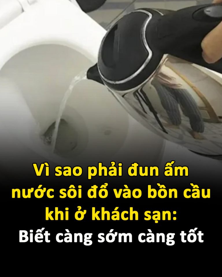 Vì sao phải đun ấm nước sôi đổ vào bồn cầu khi ở khách sạn: Biết càng sớm càng tốt