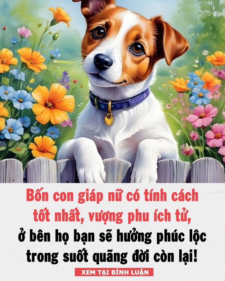 Bốn con giáp nữ có tính cách tốt nhất, rất đáng để làm bạn, họ sẽ hưởng phúc lộc trong suốt quãng đời còn lại!