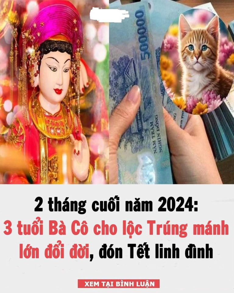 2 tháng cuối năm 2024: 3 tuổi Bà Cô cho lộc Trúng mánh lớn đổi đời, đón Tết linh đình