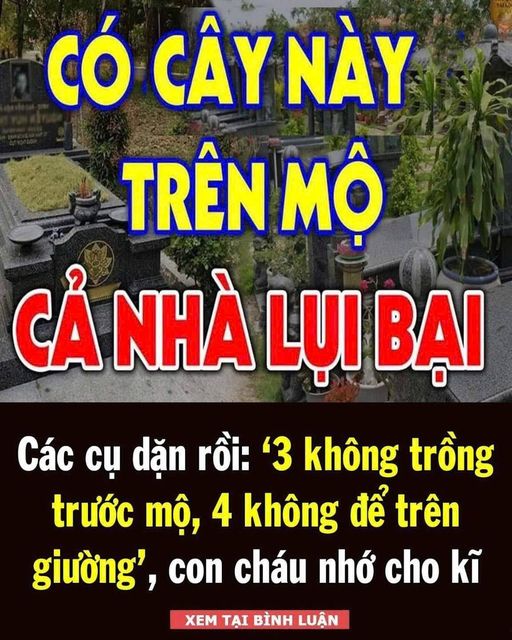 Các cụ dặn: ‘3 không trồng trước mộ, 4 không để trên giường’, con cháu nhớ cho kĩ, vì sao?