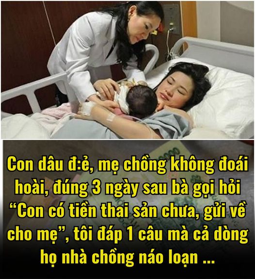 S.inh con trong viện, mẹ chồng kh.ông buồn lên chăm sóc, đúng 3 ngày sau bà gọi hỏi “Con có t.iền t.hai sản chưa, gửi về cho mẹ”, tôi đáp 1 câu mà cả dòng họ nhà chồng náo loạn