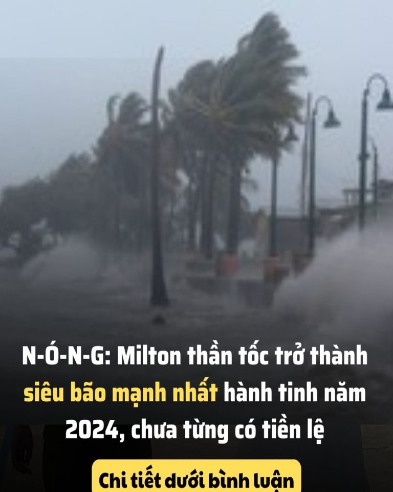 Ch-ấ-n đ-ộ-n-g: Milton thần tốc trở thành siêu bão mạnh nhất hành tinh năm 2024, người dân chỉ biết cầu nguyện