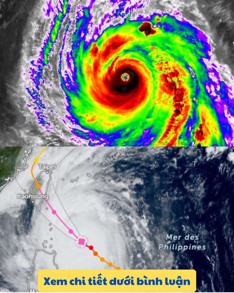 CHÍNH THỨC BÃO KONG-REY TRỞ THÀNH CƠN Á//C M::ỘNG: Mạnh lên thành s:iêu bão chỉ trong ít giờ, nguy cơ gấp nhiều lần Yagi chuẩn bị đổ bộ đất liền khi Trami còn chưa qua