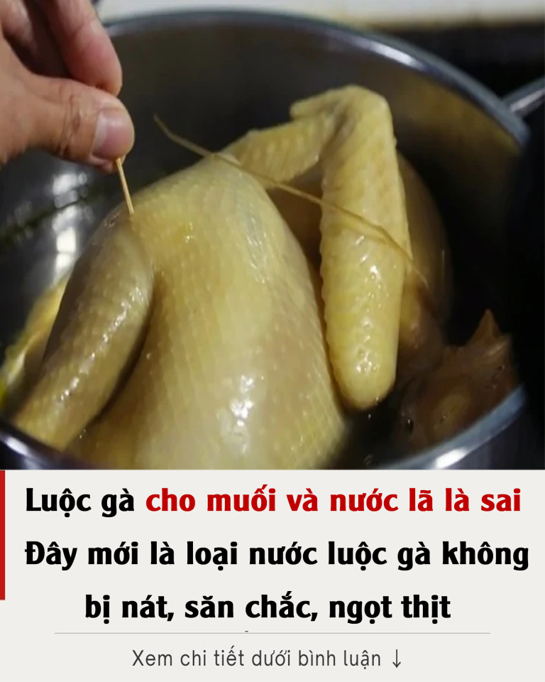 Luộc gà cho muối và nước lã là sai: Đây mới là loại nước luộc gà không bị nát, săn chắc, ngọt thịt