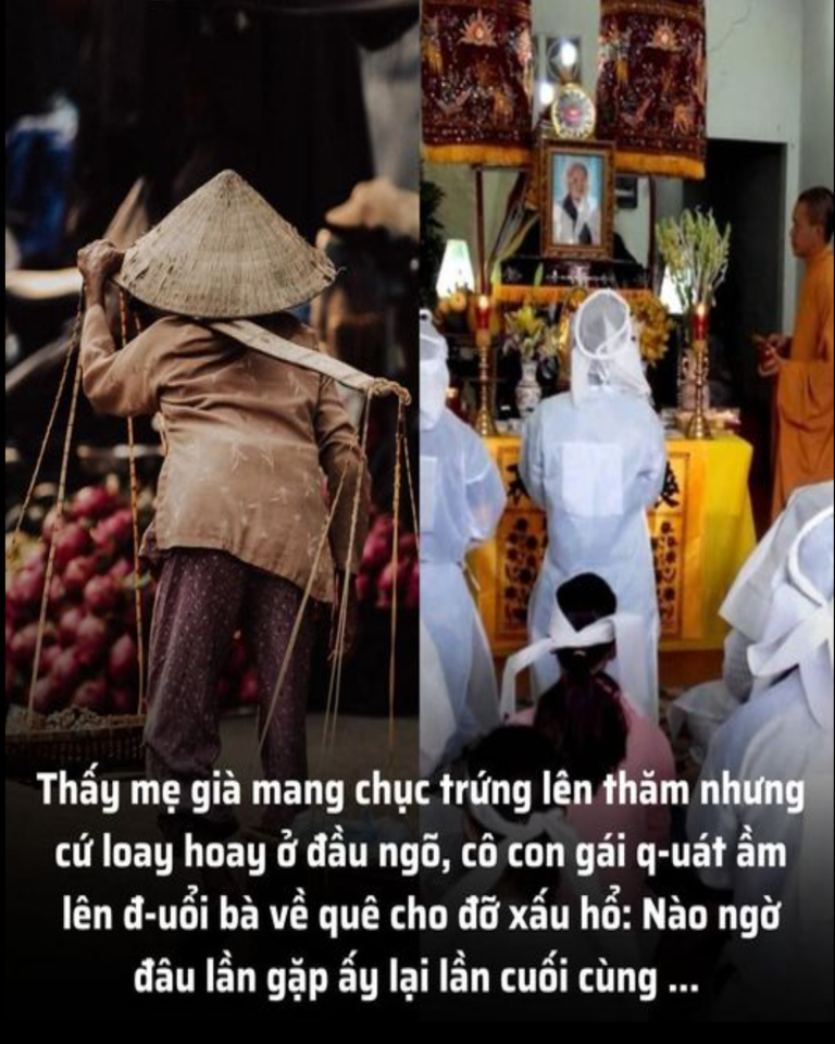 Thấy mẹ già mang chục trứng lên thăm nhưng cứ loay hoay ở đầu ngõ, cô con gái q-uát ầm lên đ-uổi bà về quê cho đỡ x/ấu h/ổ: Nào ngờ đâu lần gặp ấy lại lần cuối cùng …