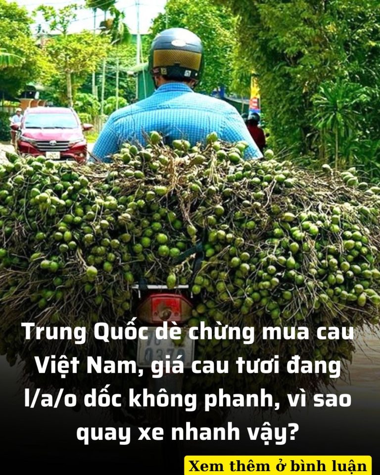 Giá cao đang cao ngất ngưởng bỗng tụt dốc, thương lái không thấy mặt mũi đâu khiến người dân hoang mang. TQ lại dùng ch’iêu “cũ”