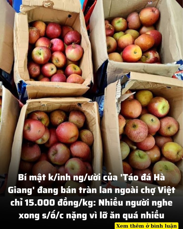 Bí mật k/inh ng/ười của ‘Táo đá Hà Giang’ đang bán tràn lan ngoài chợ Việt chỉ 15.000 đồng/kg: Nhiều người nghe xong s/ố/c nặng vì lỡ ăn quá nhiều